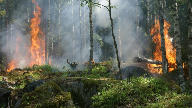 Regione Sicilia finanzierà con 2 milioni la Realizzazione della sede dei Vigili del Fuoco nelle Alte Madonie